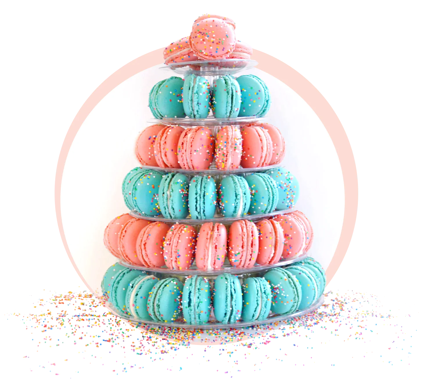 Discusting Macarons Authentic French Macarons & Desserts Prepared by Award-Winning Chefs ...